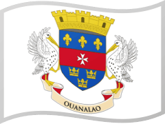The flag of Saint Barthelemy