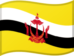 The flag of Brunei