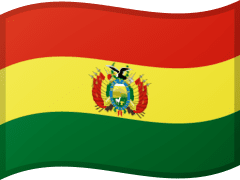 The flag of Bolivia