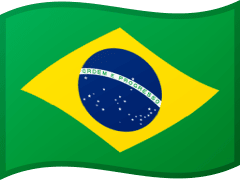 The flag of Brazil