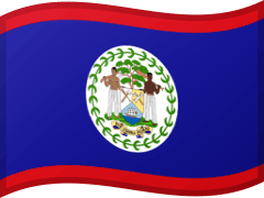The flag of Belize
