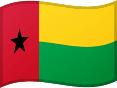 The flag of Guinea-Bissau