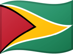The flag of Guyana