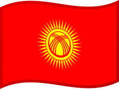 The flag of Kyrgyzstan