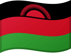 The flag of Malawi