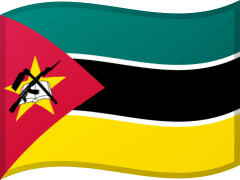 The flag of Mozambique