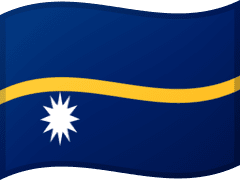 The flag of Nauru
