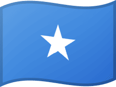 The flag of Somalia