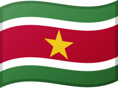 The flag of Suriname