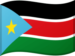 The flag of South Sudan