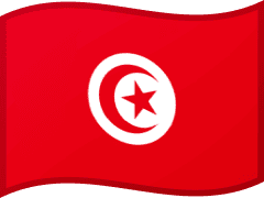 The flag of Tunisia