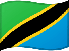 The flag of Tanzania